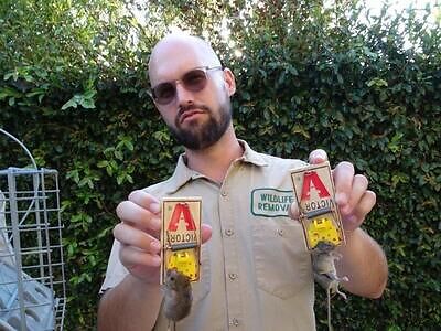 West Palm Beach pest control